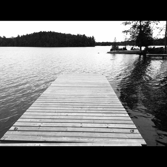 Meet your Posher, Isabella - Picture 1 of 1